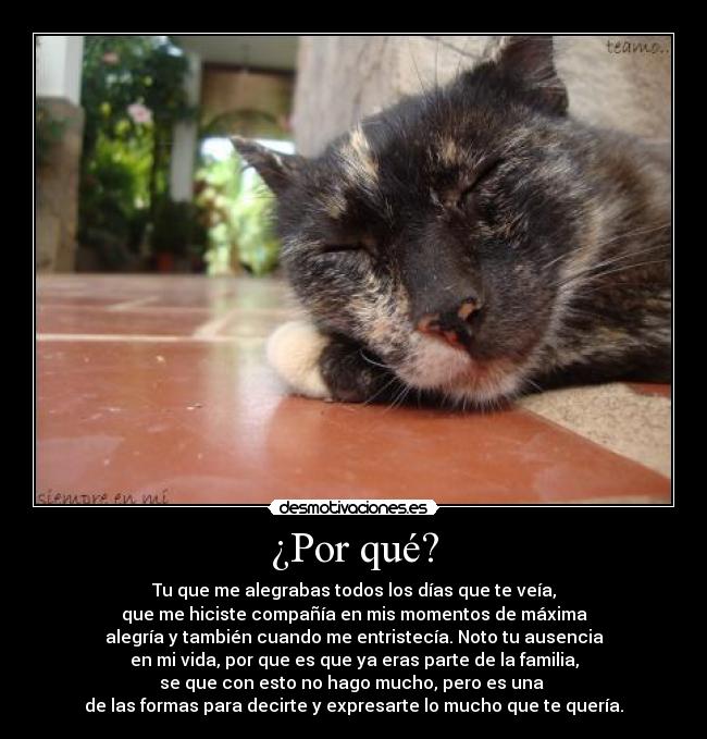 ¿Por qué? - 