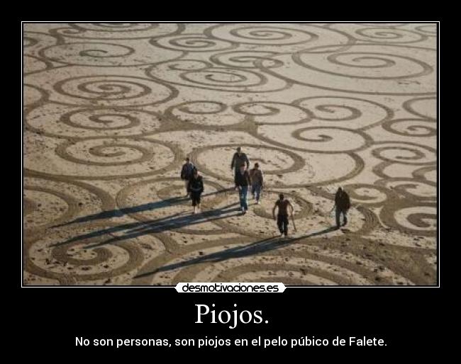 Piojos. - No son personas, son piojos en el pelo púbico de Falete.