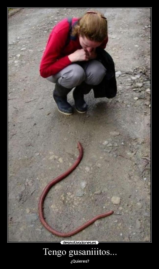 Tengo gusaniiitos... - ¿Quieres?