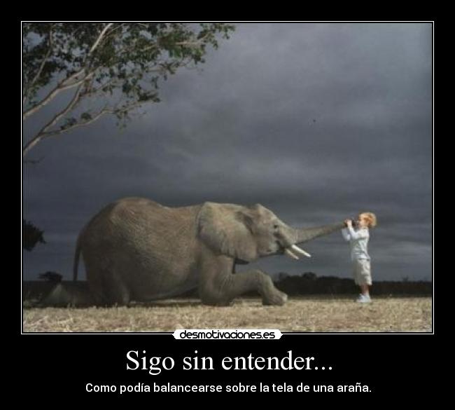Sigo sin entender... - 