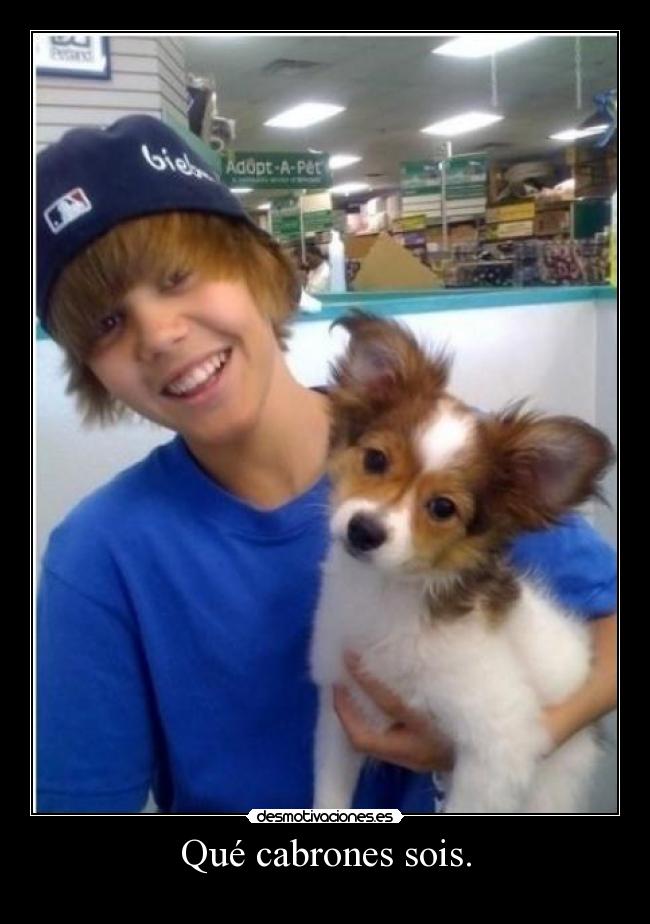 carteles desmotivaciones desmotivaciones