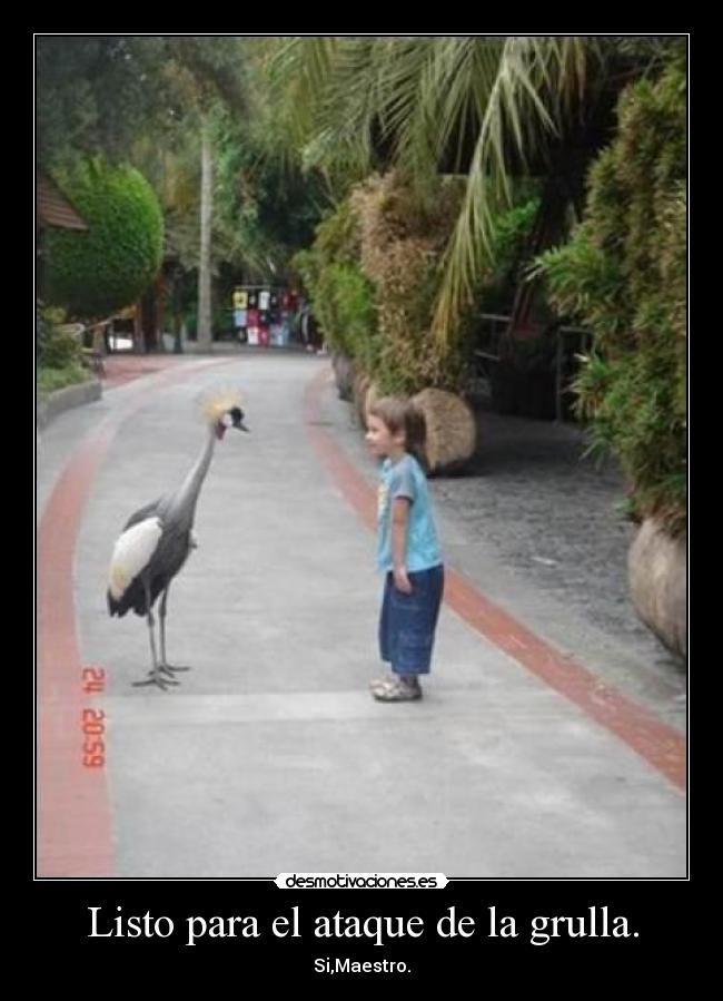 Listo para el ataque de la grulla. -