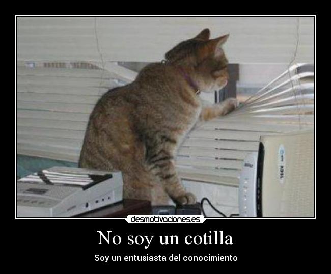 carteles gatoscotilla desmotivaciones motivaciones jmmfdaa desmotivaciones