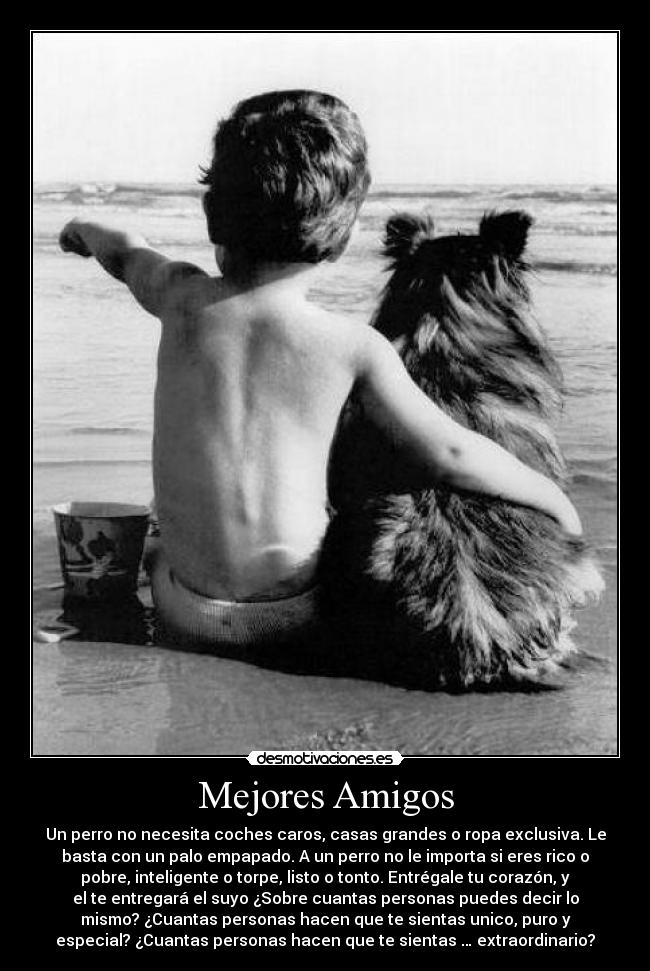 Mejores Amigos -