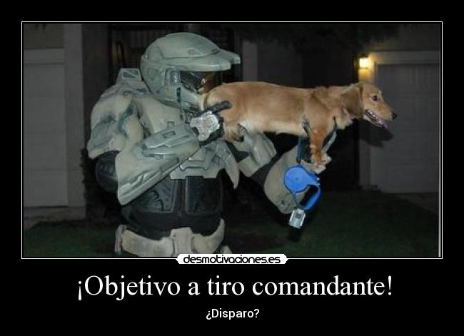 ¡Objetivo a tiro comandante! - ¿Disparo?