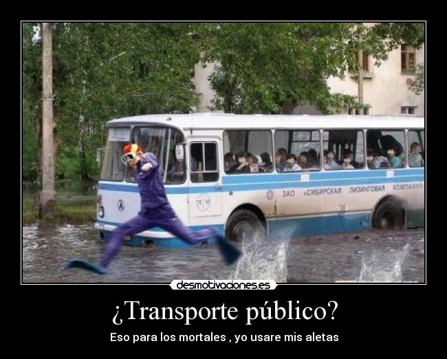 ¿Transporte público? - Eso para los mortales , yo usare mis aletas