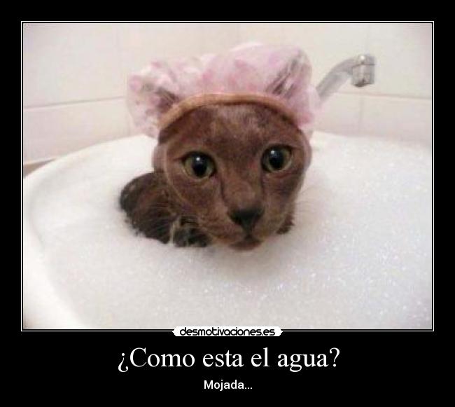¿Como esta el agua? -