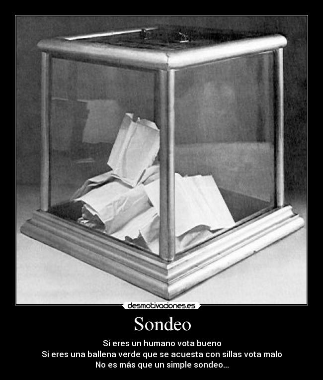Sondeo - Si eres un humano vota bueno
Si eres una ballena verde que se acuesta con sillas vota malo
No es más que un simple sondeo...