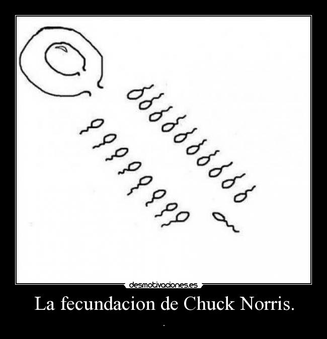 La fecundacion de Chuck Norris. - .