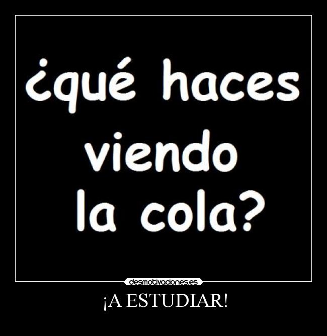 ¡A ESTUDIAR! -