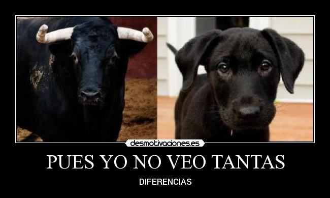 PUES YO NO VEO TANTAS - 