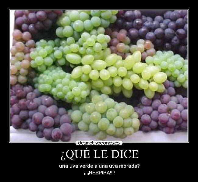 ¿QUÉ LE DICE - 