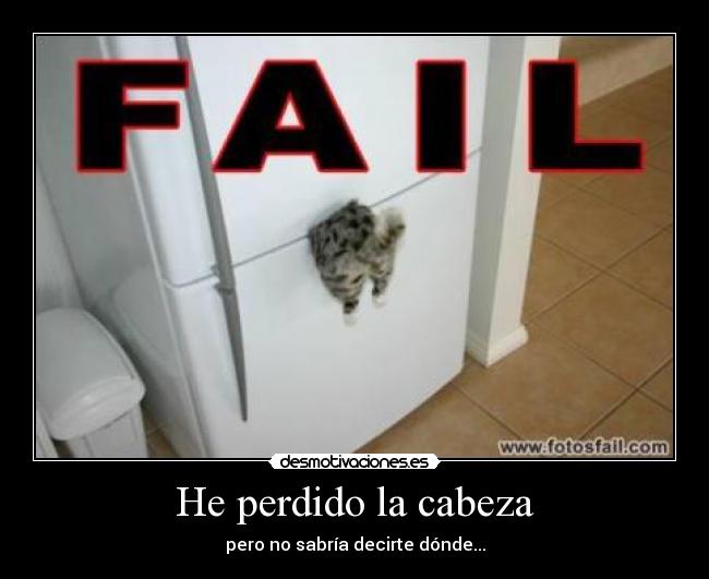 carteles gatosfail desmotivaciones