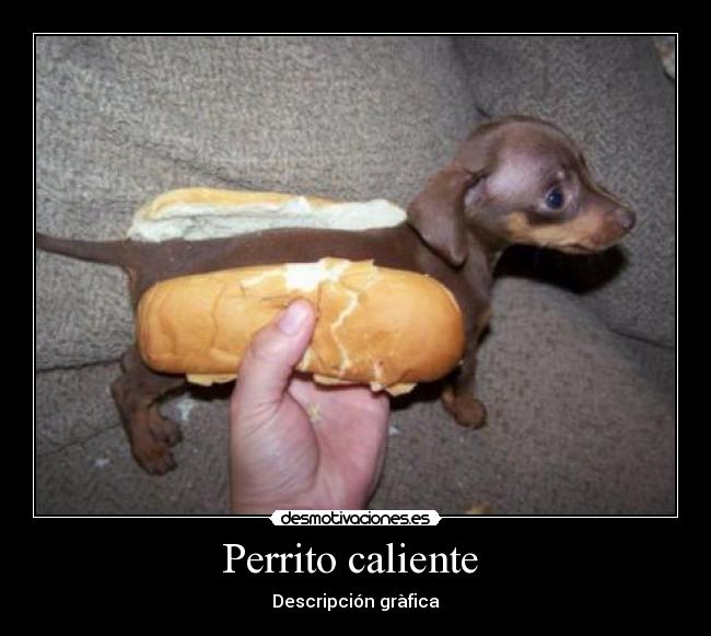 Perrito caliente  - Descripción gràfica