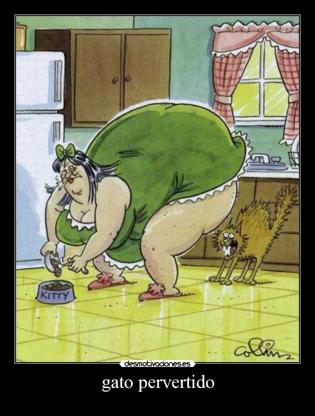 gato pervertido -