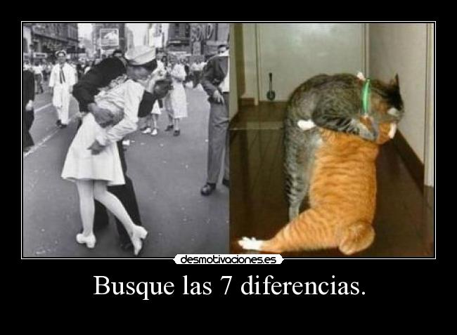 Busque las 7 diferencias. - 