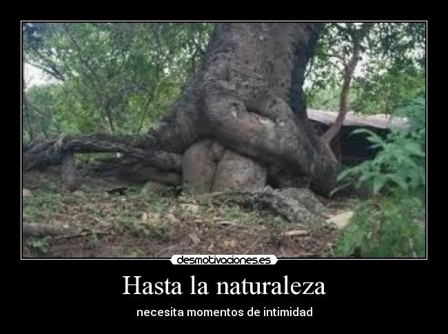 carteles naturaleza petercriss95 desmotivaciones