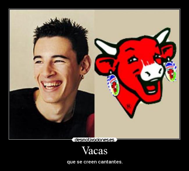 Vacas - 