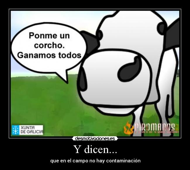 Y dicen... -