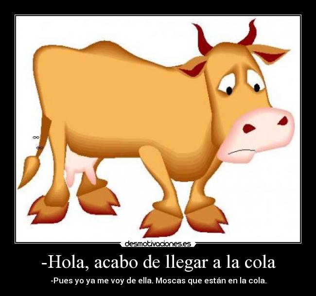 -Hola, acabo de llegar a la cola - 