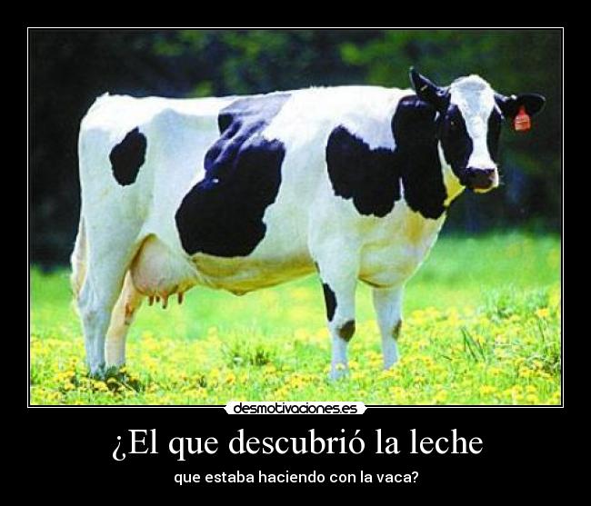 ¿El que descubrió la leche - que estaba haciendo con la vaca?