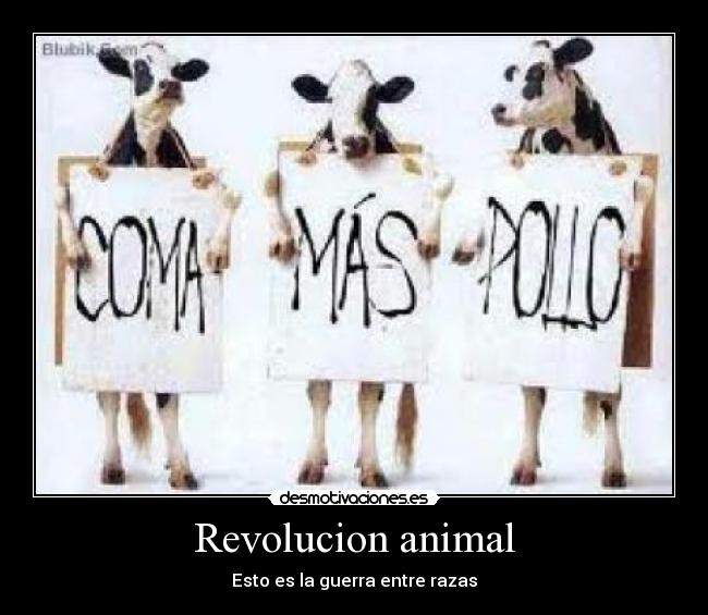 Revolucion animal - Esto es la guerra entre razas