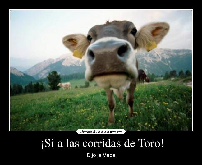 ¡Sí a las corridas de Toro! -