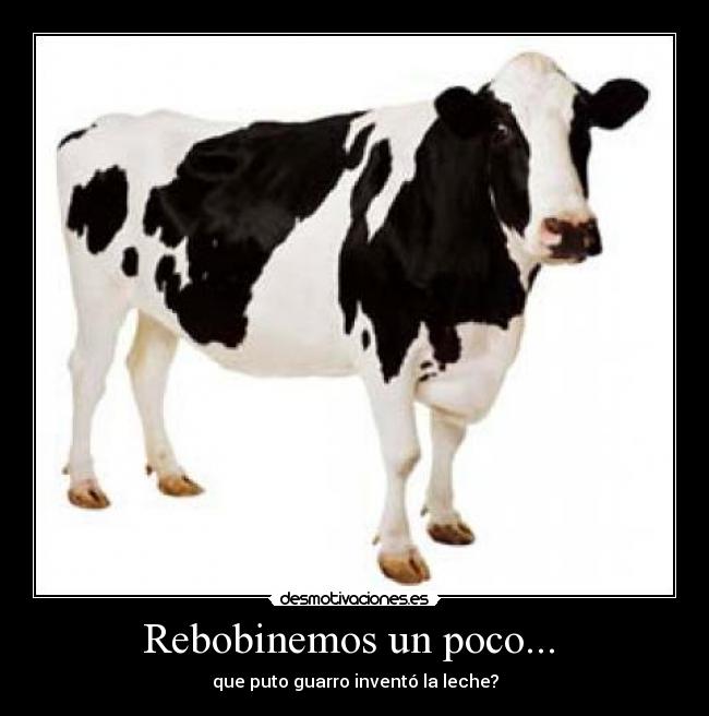 Rebobinemos un poco... -