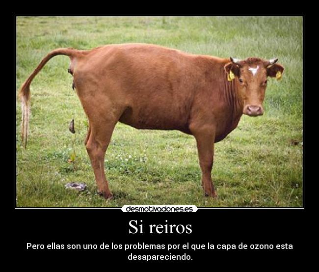 Si reiros - Pero ellas son uno de los problemas por el que la capa de ozono esta desapareciendo.