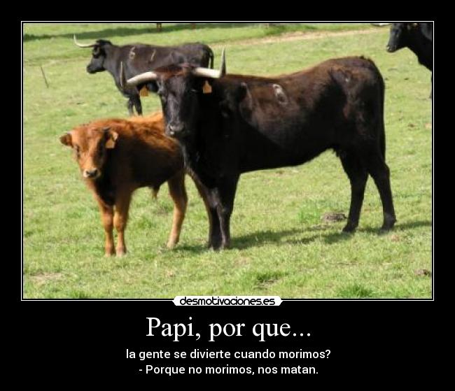 Papi, por que... -
