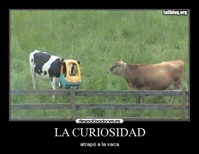 LA CURIOSIDAD -