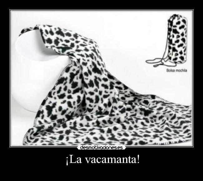 carteles peitolobo batamanta vaca manta desmotivaciones