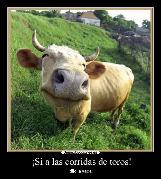 ¡Si a las corridas de toros! -