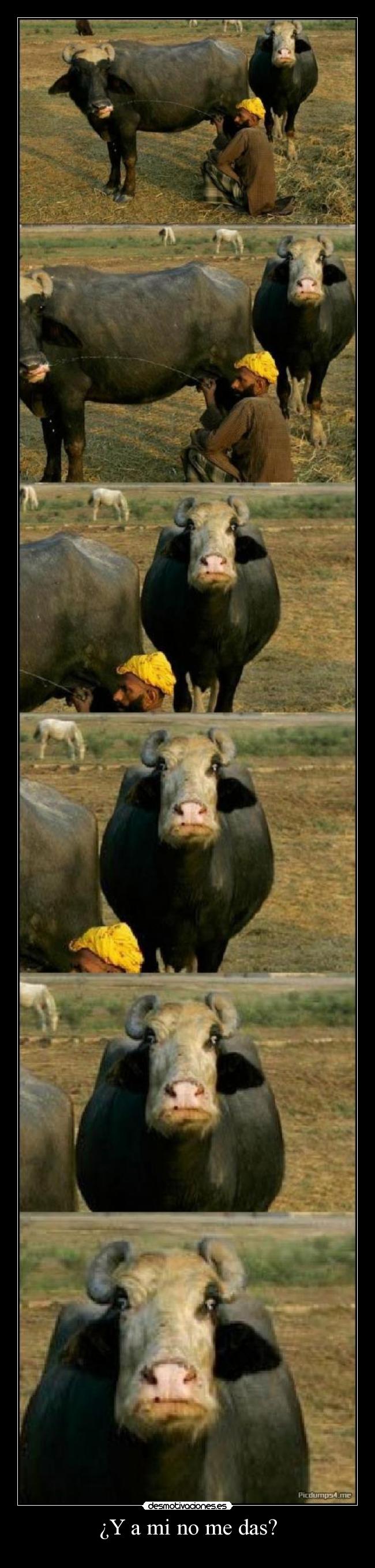 ¿Y a mi no me das? - 