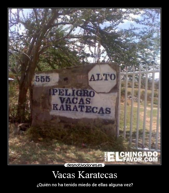 Vacas Karatecas -