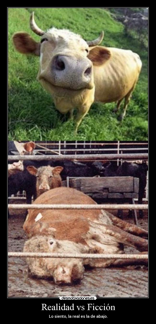 Realidad vs Ficción - Lo siento, la real es la de abajo.