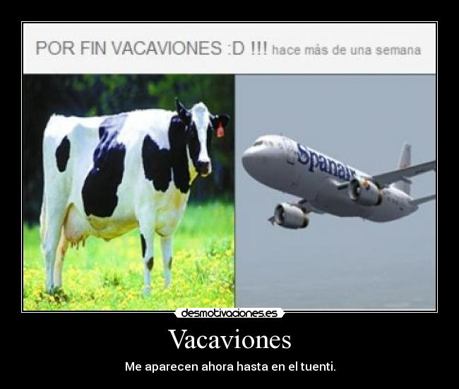 Vacaviones -