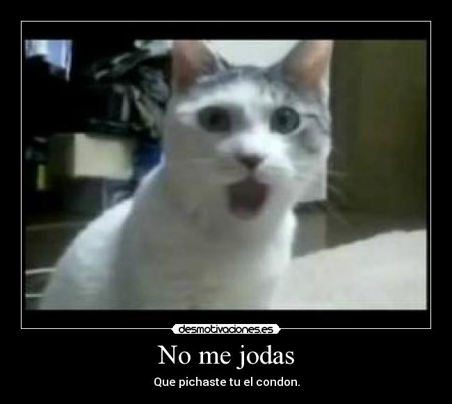 No me jodas - Que pichaste tu el condon.