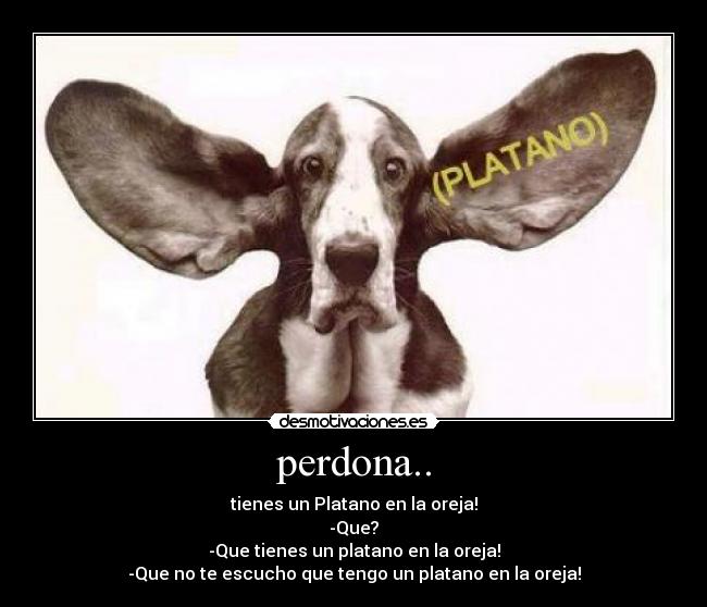 perdona.. -