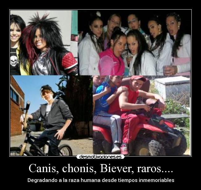 carteles dsgf desmotivaciones