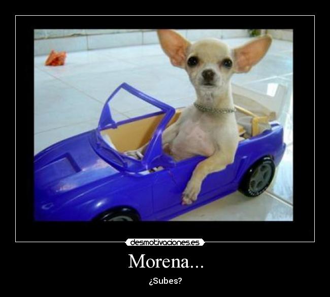 Morena... -