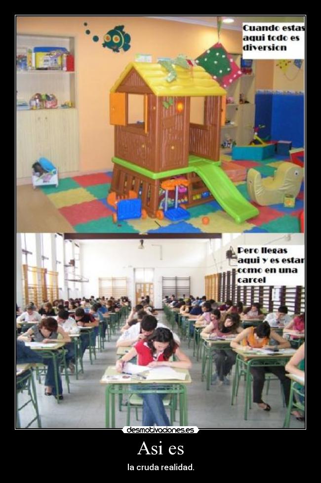 Asi es - la cruda realidad.