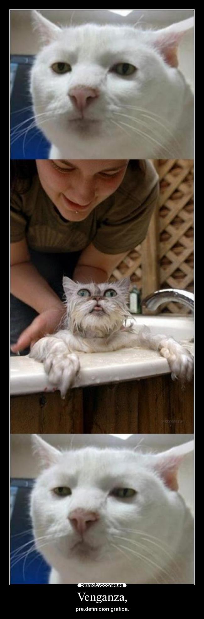 Venganza, - pre.definicion grafica.