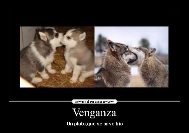 Venganza - 