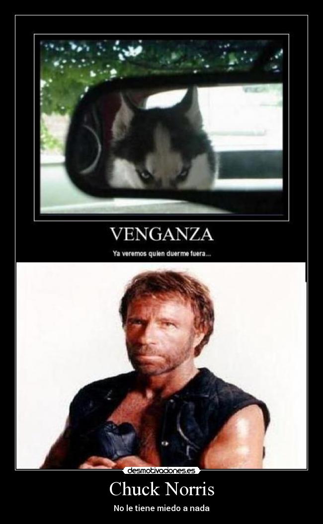 Chuck Norris -
