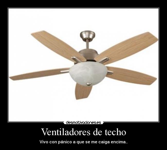 Ventiladores de techo -