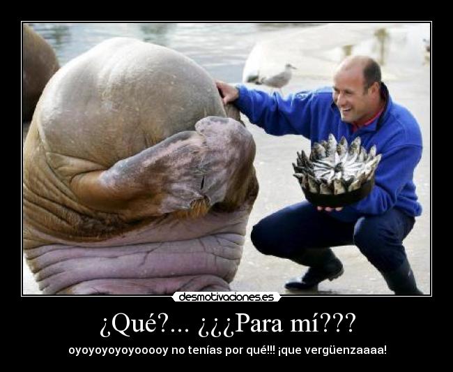 ¿Qué?... ¿¿¿Para mí??? - oyoyoyoyoyooooy no tenías por qué!!! ¡que vergüenzaaaa!