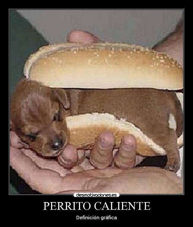 PERRITO CALIENTE - 