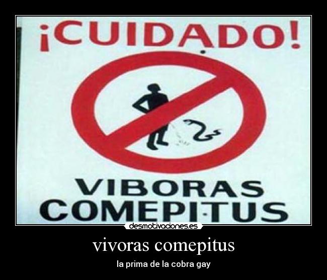 vivoras comepitus - la prima de la cobra gay