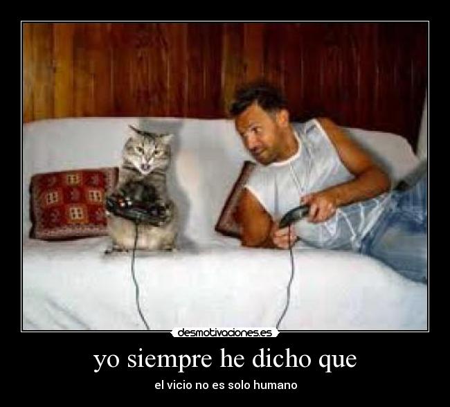 yo siempre he dicho que -